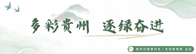 【全国生态日】黔行“两山”路｜高颜值生态赋能高质量发展