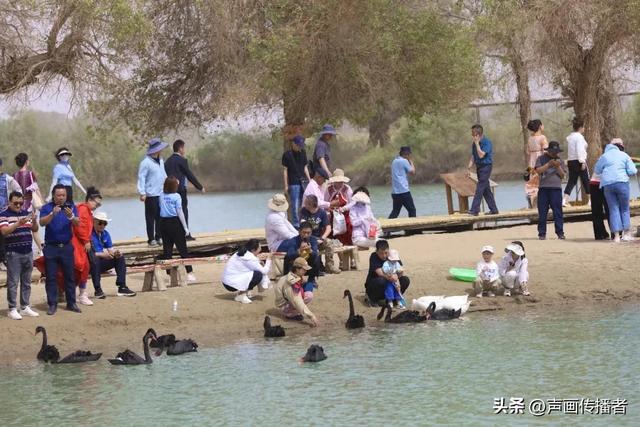 罗布人村寨“匠心筑梦” 楼兰秘境与沙漠乐园焕新启幕