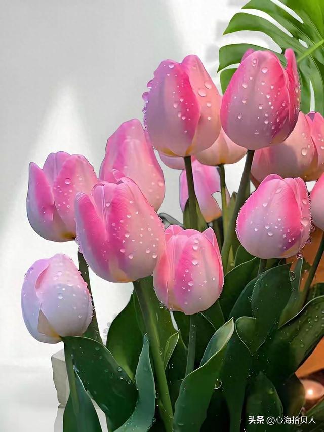 情感爆文：我知道你很累，但请你一定要坚持下去…