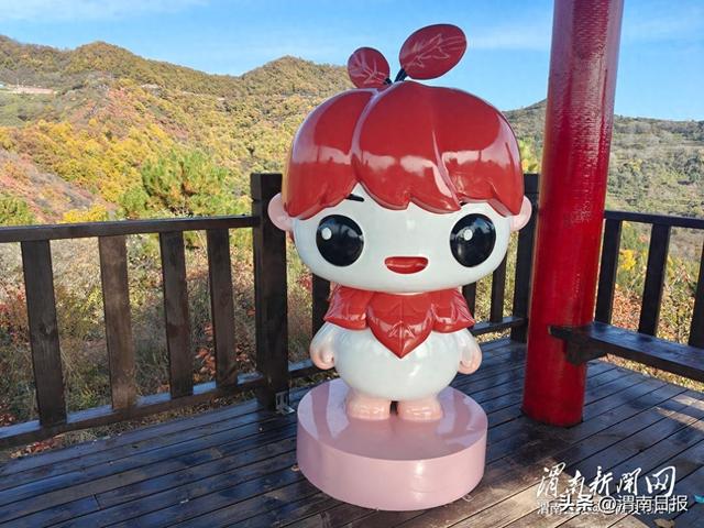 吉祥物成韩城香山红叶风景区“明星”