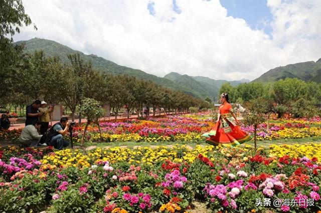 魅力民和 文旅火 城市美 产业兴