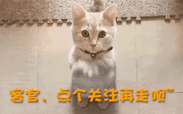 CBA连爆冷门，北京51分血洗弱旅，山东最后0.5秒被绝杀