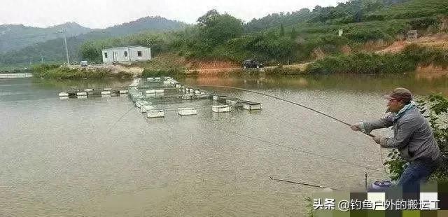 钓鱼时，鱼断线后，鱼钩挂在鱼嘴上跑了，鱼会怎么样呢？