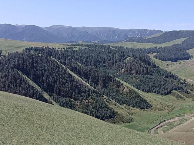 由踏甘肃地之二十九 张掖篇之二十七 康乐草原