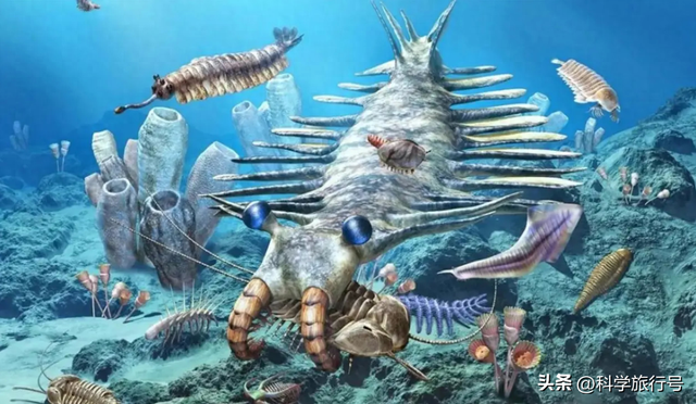 地球是个巨大的培养皿？失败品被一键清除？神秘的埃迪卡拉生物