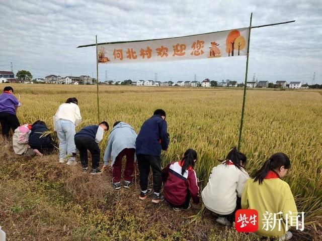 探寻蚕桑文化，领略农耕之美！“何北村秋收农耕”亲子体验活动来咯