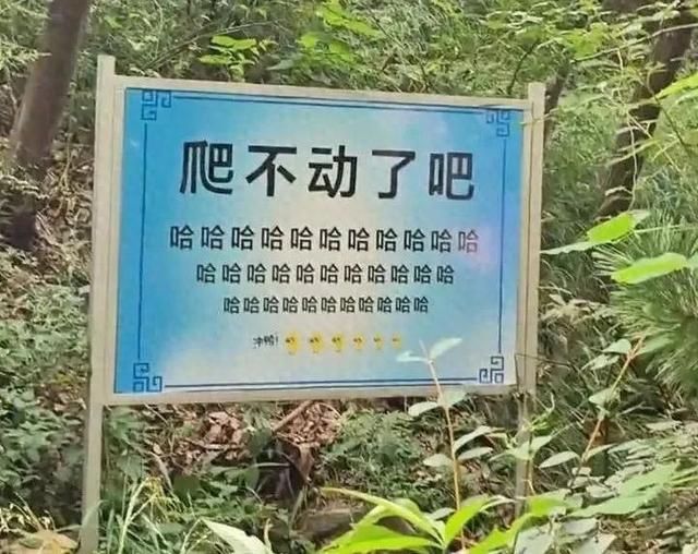 “爬不动了吧，哈哈哈哈哈”这些景区指示牌为啥火了？
