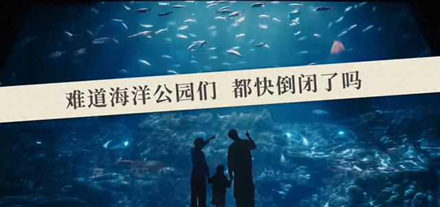 人山人海的海洋公园，为什么要靠“奥特曼”和“大熊猫”来拯救？