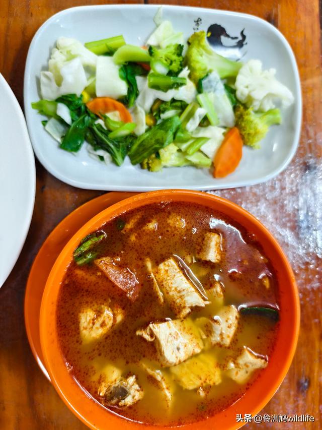 马来西亚(36)砂拉越州⑩峇哥国家公园夜间徒步体验