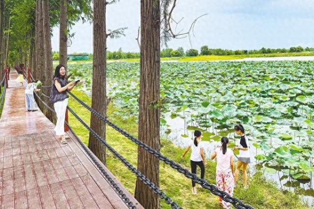 汉川汈汊湖景观工程收官