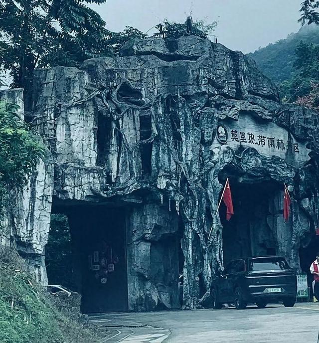 莫里热带雨林好风光