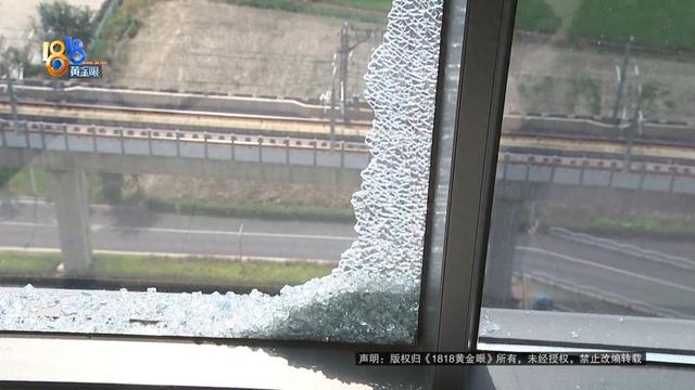 双层玻璃泡茶杯（20楼阳台装了落地窗）