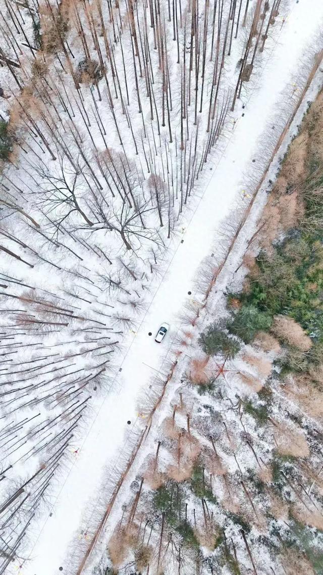 雪景大片！日照这些地方太好看了！