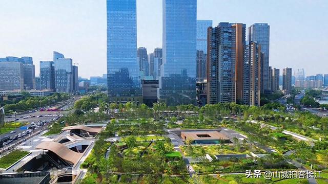 成都人口密度排首位的区，因一座祠堂而得名，夜市烟火气很浓！