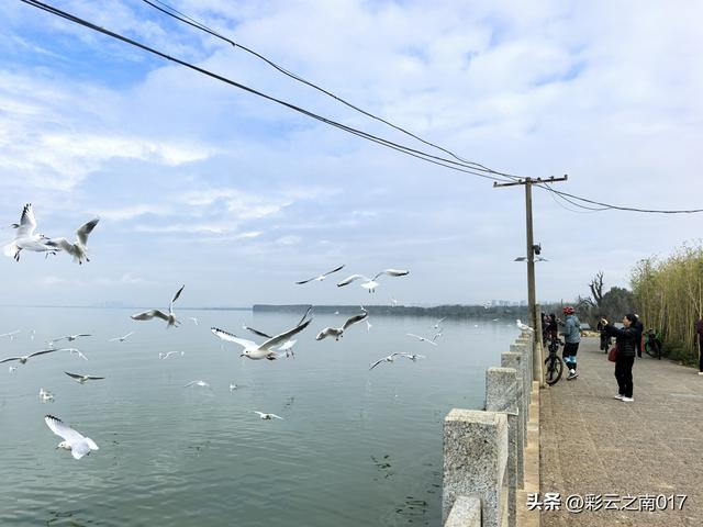 从呈贡大学城骑行到福保半岛，往返耗时6小时，骑行 60余公里