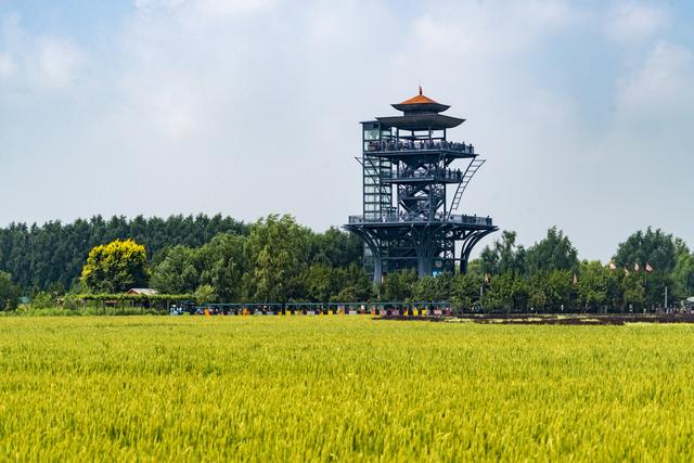 辽宁沈阳：一处画在田间人在画中的景区吸引来自四面八方的游人