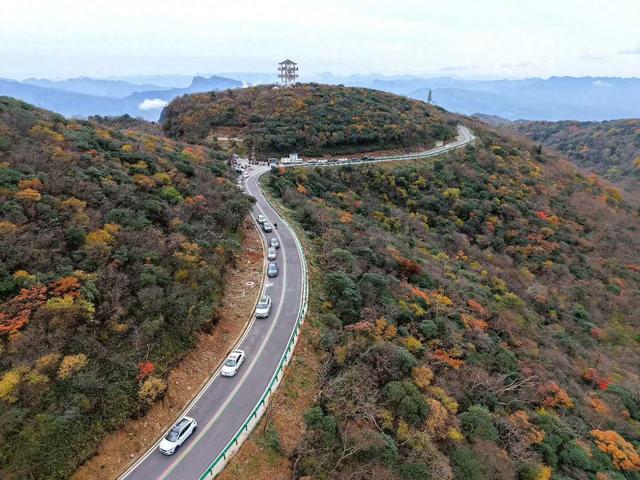 一步一景！旺苍盐井峡五彩斑斓，就像秋日童话甚是迷人！