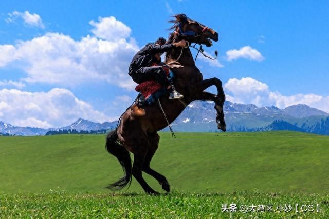 从马上闻其名，在马上别其魂：我们失去了一位真正的“风雪侠女”