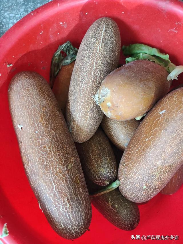说说贵州避暑山庄的吃