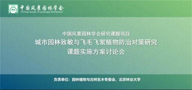 专家抓紧研究城市园林致敏与飞毛飞絮植物防治对策