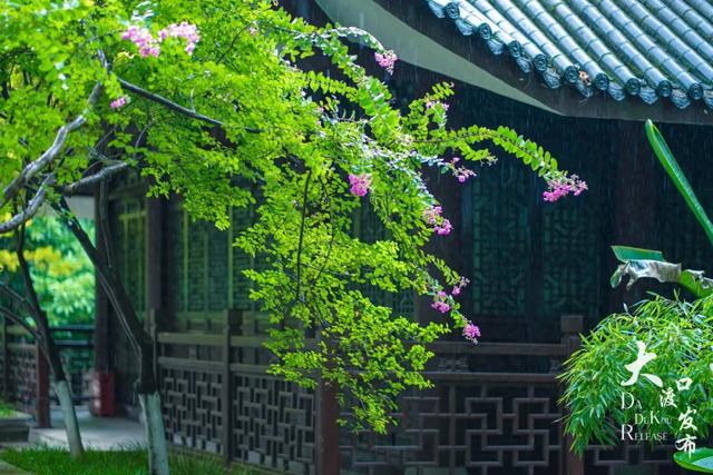 下雨天，大渡口这些地方美成「烟雨江南」，快去拍！