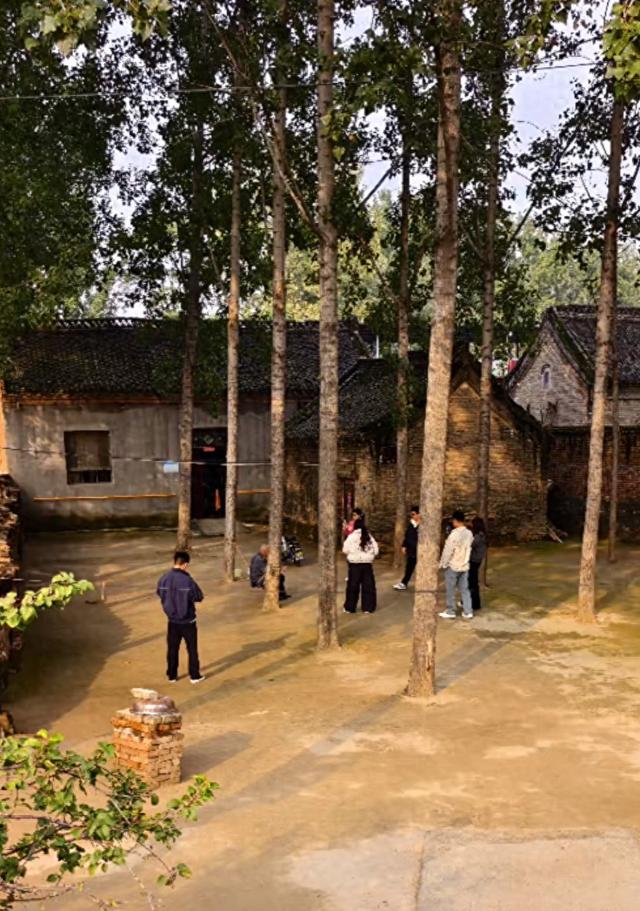 河南一大爷院子因干净成网红打卡地，网友：像极了小时候家的样子