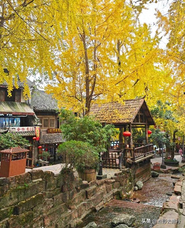 成都秋天最值得去的古场镇，每一个都惊艳，不要门票，公交可达！