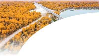 为金色胡杨撑起保护伞