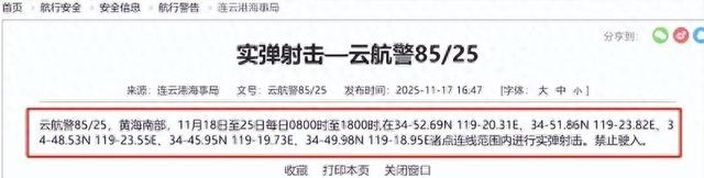 解放军终于出手，面向日本实弹射击	，连打8天，张维为：成全她