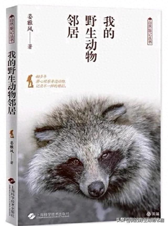 自驾，天津段最可怕