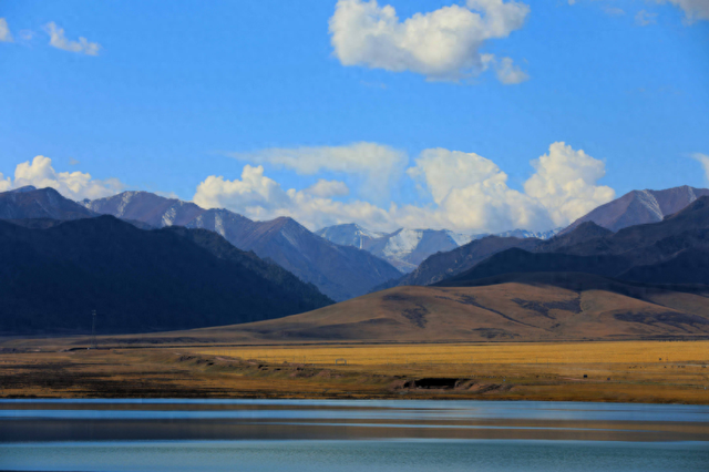 当硬核金川遇上温柔秋天，画面太治愈了！