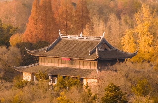 原来，红梅公园这么好吃！