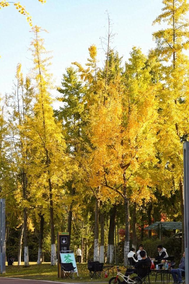 新津人速藏！冬日公园晒太阳的神仙去处