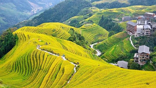 【90号公路】金秋巅峰旅行目的地：桂林-龙脊梯田