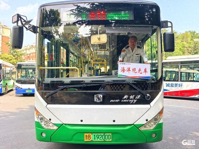 青岛巴士变身“移动水族馆”！11路“海洋观光车”今起清凉启航