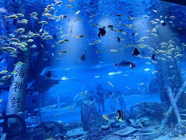 深圳恒远海立方双节期间举行 “海底红色经典音乐节”