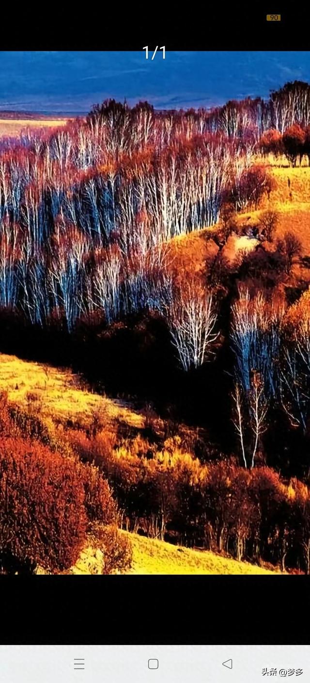 每一处都有独特韵味，每一物都是景的灵魂