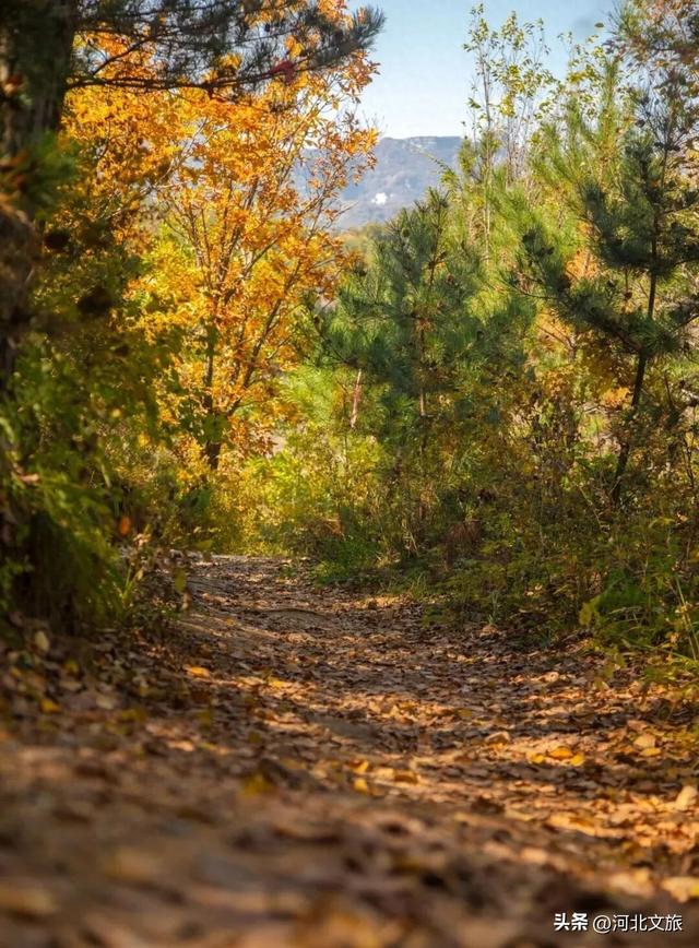 保定深秋“隐藏副本”已解锁：阜平，速来！
