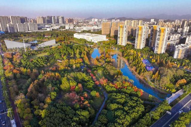 宁波秋色已“加载”80%！收好这份“金色地图”，随时打卡