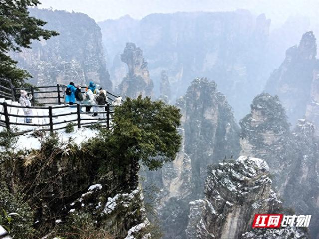 雪落奇峰！张家界把冬天绘成了水墨仙境