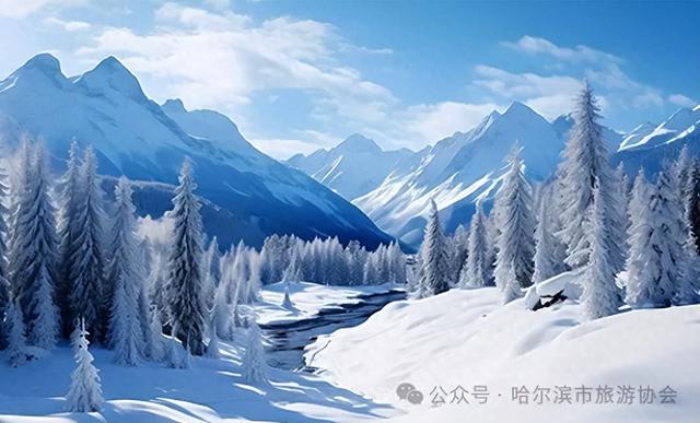 哈尔滨市旅游协会发布2025-2026年冰雪季旅游线路诚信价