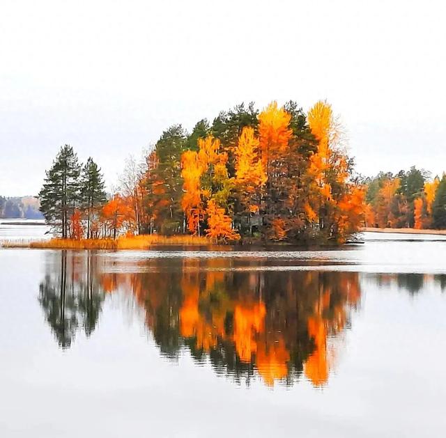 秋天的色彩，染在树上，也映在了水里