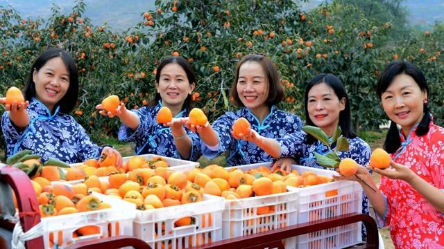 采秋趣，品果香 | 禹州的秋天正上演重头戏