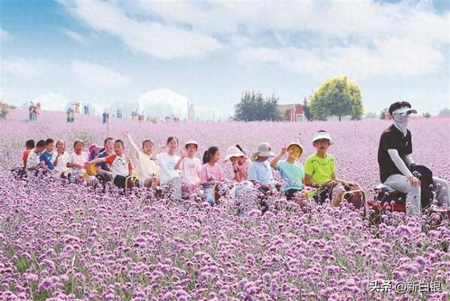 大坪凤园花海“带火”乡村游