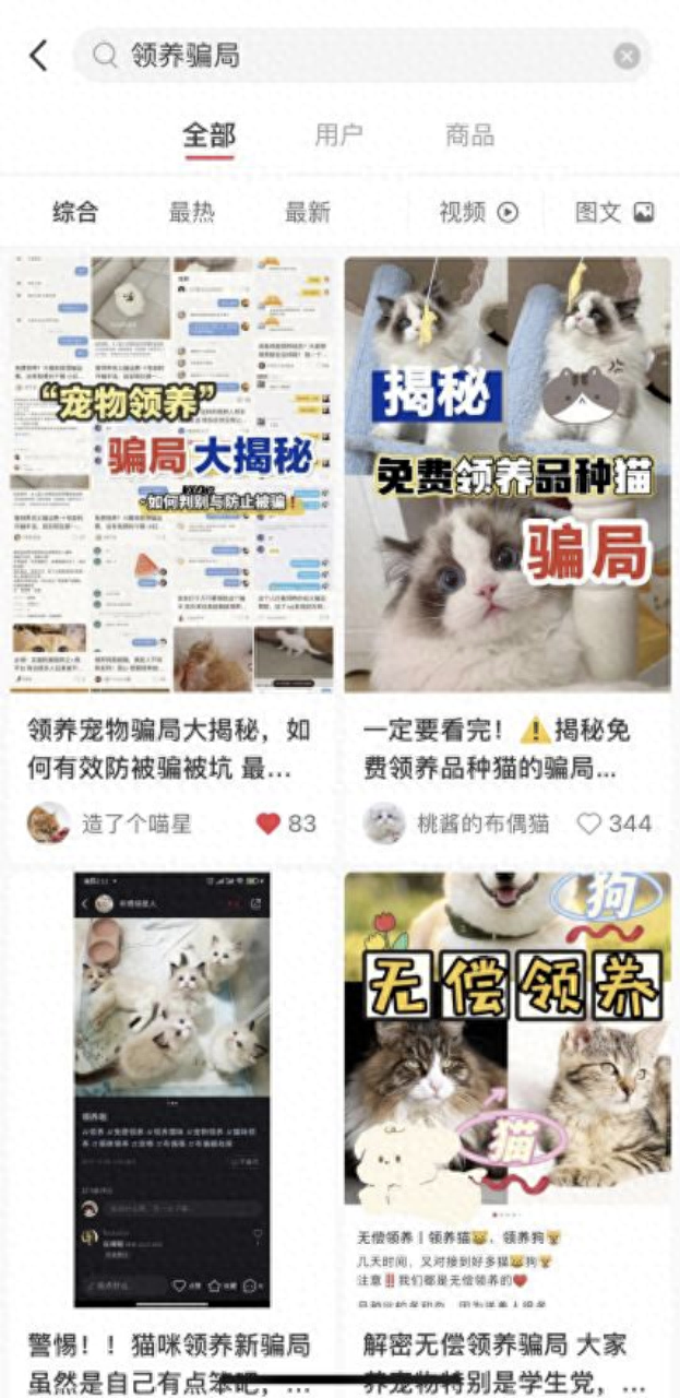 猫咪庭院破解版.（揭秘后院猫生意经宠物繁育市场作坊太多）