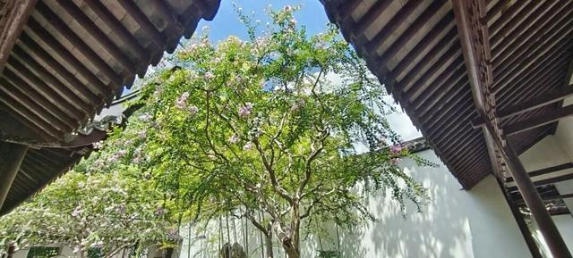 老师，您辛苦了~上海一波景区推出教师优惠政策→