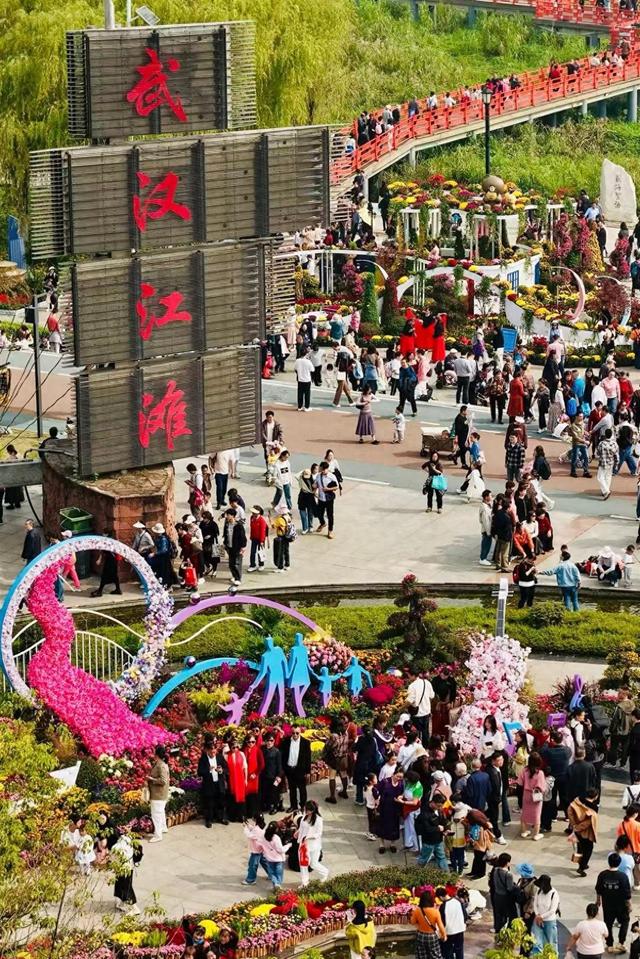 金菊铺锦映江城，志愿红暖赏菊路，武汉文旅志愿者护航金秋菊展