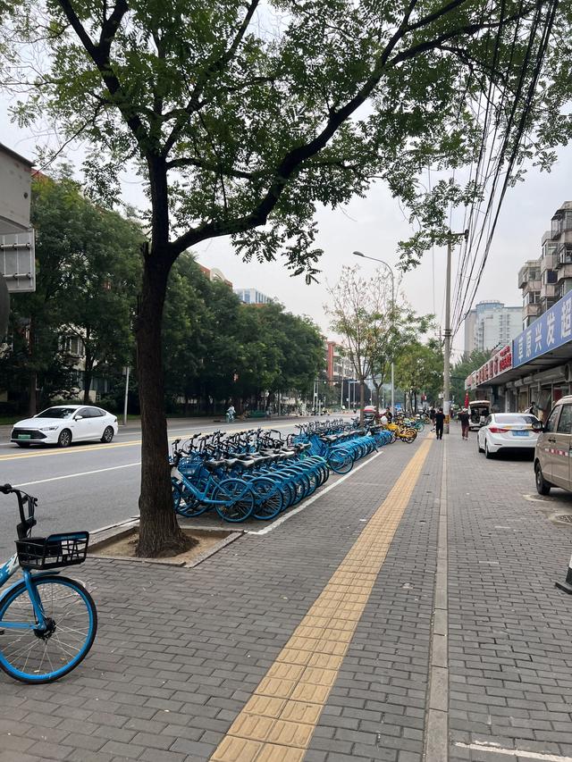 北京之行——海淀高校区、大栅栏（2025.9.7）