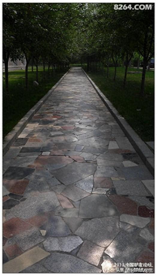 山东行游影记（18）—济南山东大学（五）
