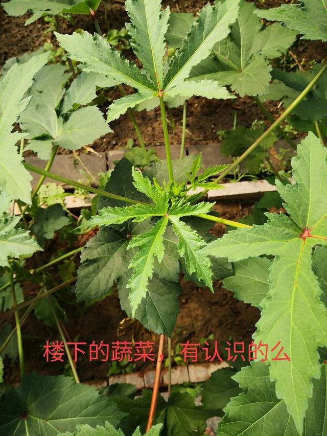 工艺品网站建设（不用东奔西跑）